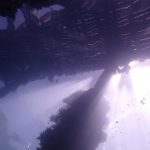 A researcher dives deep to recall why she had chosen ocean research as her calling