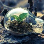 Self-reflection: The key to creating and thriving in your new normal