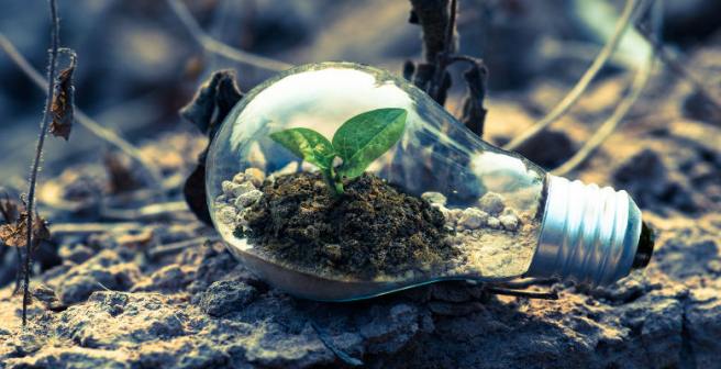 Self-reflection: The key to creating and thriving in your new normal