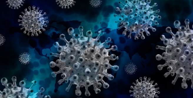 2020 Golden Goose Award honors scientists contributing to easing COVID-19 pandemic