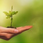 mental health in academia, researcher well-being, large-scale survey, CACTUS mental health survey