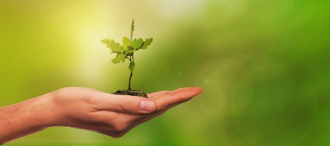 mental health in academia, researcher well-being, large-scale survey, CACTUS mental health survey