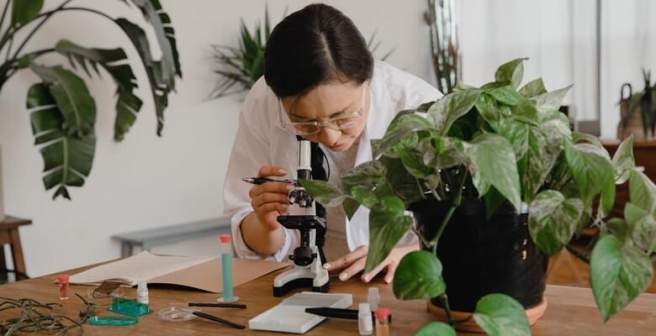 Should we stay or should we go: Women in STEM on what helps them stay