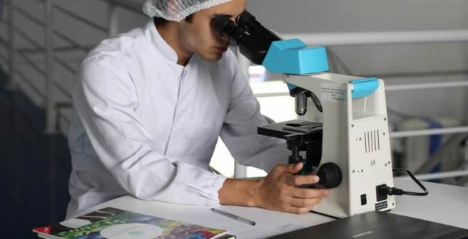 Science communication: Everything you need to know about it to thrive