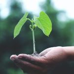 World Science Day 2022: How can basic sciences contribute to meeting Sustainable Development Goals (SDGs)?