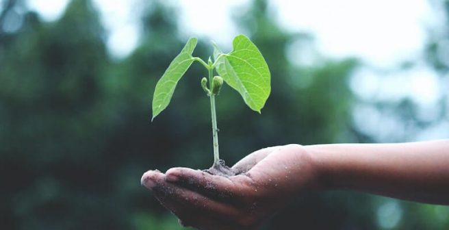 World Science Day 2022: How can basic sciences contribute to meeting Sustainable Development Goals (SDGs)?