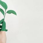 Calling Climate Champions: Apply for Google’s Carbon Removal Research Awards