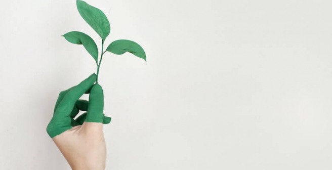 Calling Climate Champions: Apply for Google’s Carbon Removal Research Awards