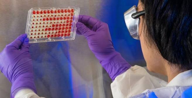 Unraveling genetic mysteries with statistics: 8 Powerful statistical techniques in genetics research