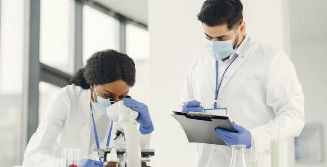 Maximize your lab’s research productivity through a statistical analysis service