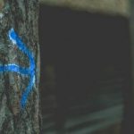 Publication ethics demystified: A guide for mid-career researchers