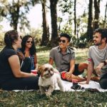 Why language diversity matters in research