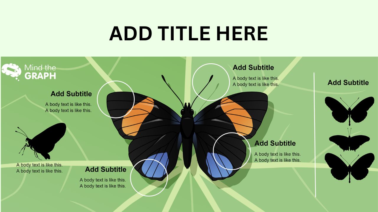 Sample graphical abstract with correct color combination