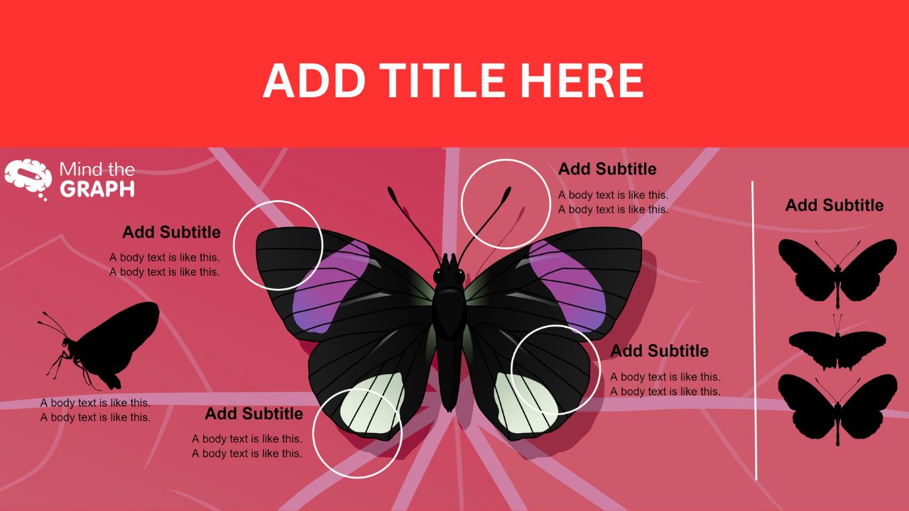 Sample graphical abstract template with wrong color and layout