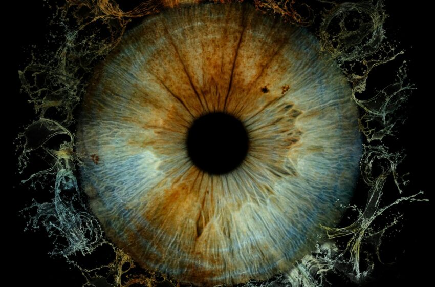 Close up picture of the human eye