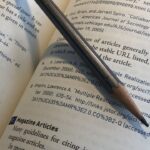 Page depicting footnotes to show Chicago footnote format.