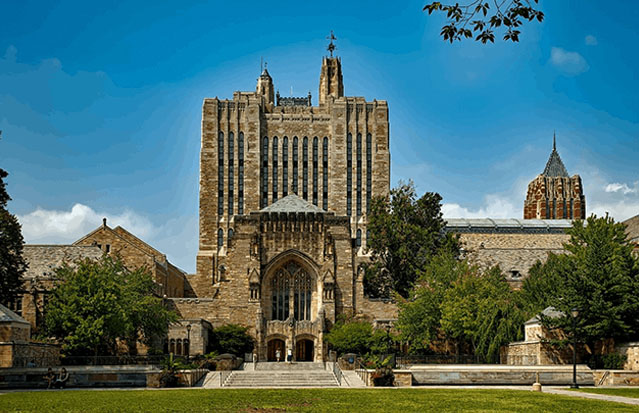  Everything you need to know about REF 2021 in the UK