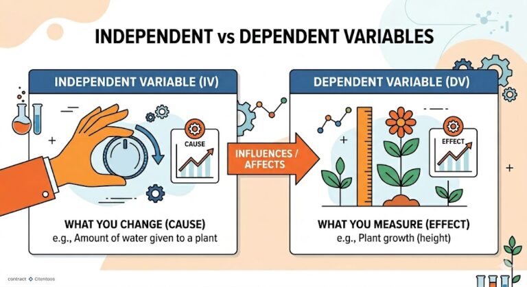 What is an independent variable: Types of independent variables with ...